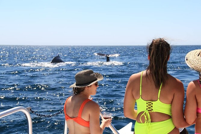Cabo Catamaran – Snorkeling Tour & Coastal Views - What the $89 price really covers
