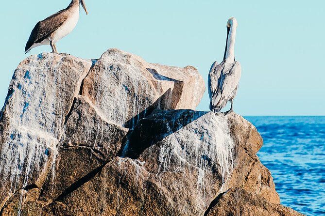 Cabo Private Catamaran: Chill Experience with Sup and Float Mat - Is $970 a good value for 12 people?