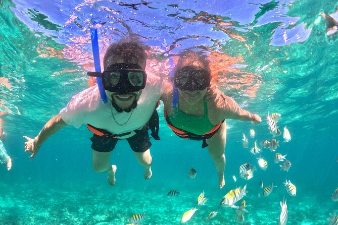 Cabo San Lucas Catamaran Cruise: Snorkel or Sunset Adventure - Pelican Rock and the daytime snorkeling choice