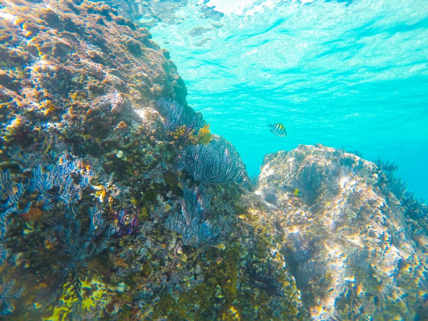 Cabo San Lucas: Private Catamaran Tour with Snorkeling - Who Will Get the Most from This Catamaran