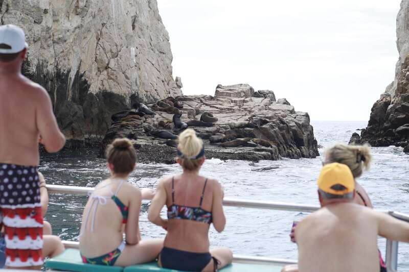 Cabo San Lucas Private Mini Catamaran Tour - Who will enjoy this Cabo outing most?