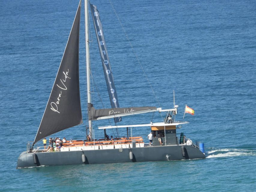 Cádiz: Bay of Cádiz Catamaran Tour with Host - A Gentle Start at Cádiz Port