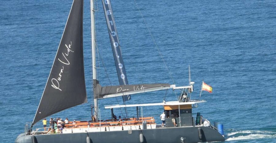 Cádiz: Bay of Cádiz Catamaran Tour with Host - What the Commentary Adds