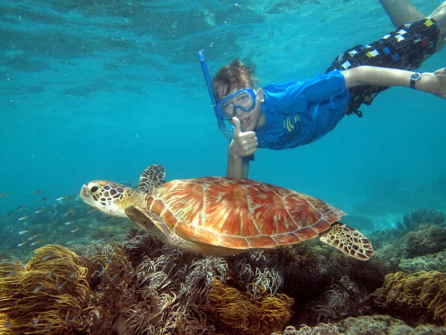 Cairns: Ocean Spirit Great Barrier Reef Full Day Tour - Snorkeling from the beach