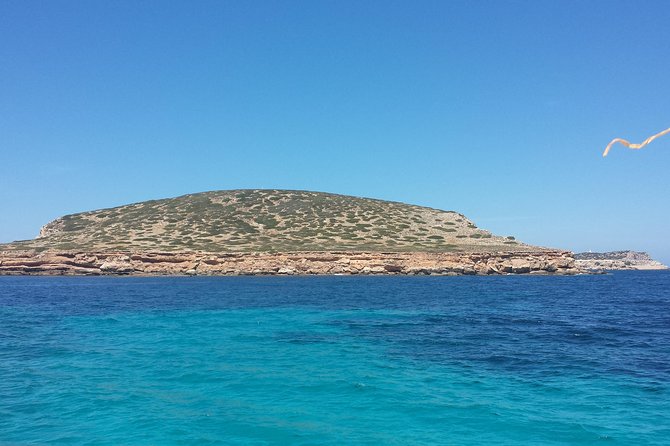 Cala Comte Private Catamaran Tour - Food, drinks, and the practical side of a long day
