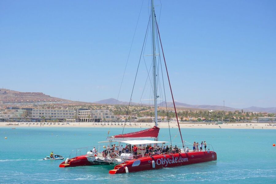 Caleta de Fuste: Catamaran Sailing Experience - Key points at a glance