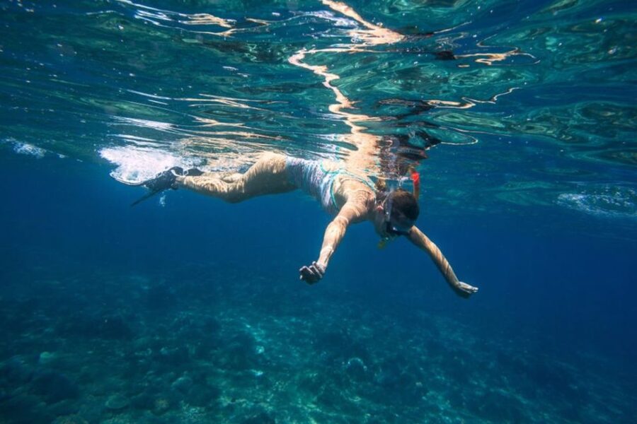 Caleta de Fuste: Catamaran Sailing Experience - Sailing from Caleta de Fuste on the Obycat