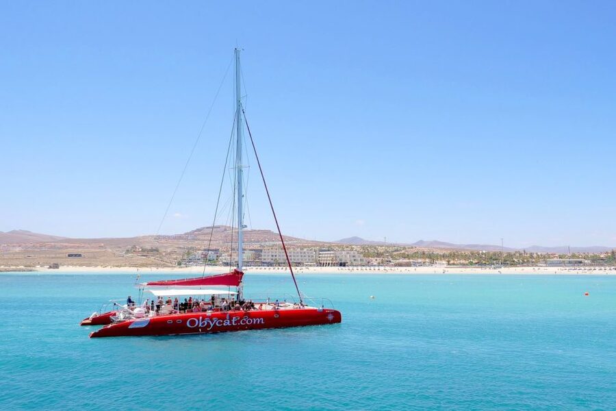 Caleta de Fuste: Catamaran Sailing Experience - Who will enjoy this four-hour trip