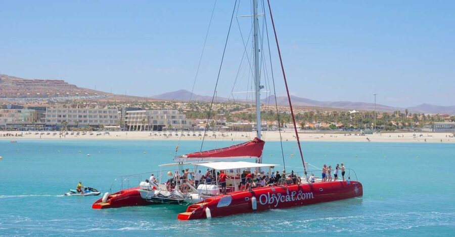Caleta de Fuste: Catamaran Sailing Experience - What you may see on the way to Pozo Negro
