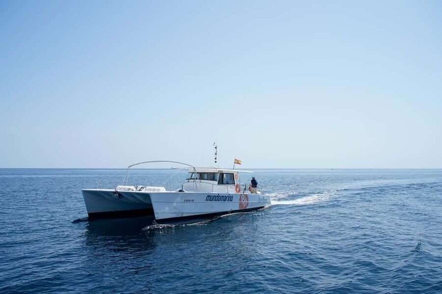 Calpe: Motor Catamaran Boat Tour with Sunset Option - What the Motor Catamaran Adds