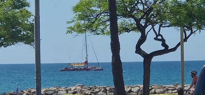 Cambrils/Salou: Coastline Catamaran 2h with drinks, pickup - What the views are really worth