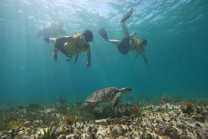 Cancun All Inclusive Catamaran Tour to Isla Mujeres - The catamaran ride and open bar