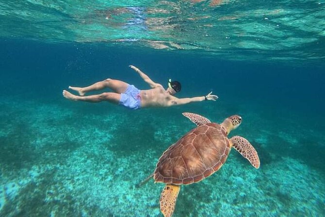 Cancun Catamaran: Sail to Isla Mujeres + Buffet & Drinks - A full day from Playa Tortugas to Isla Mujeres