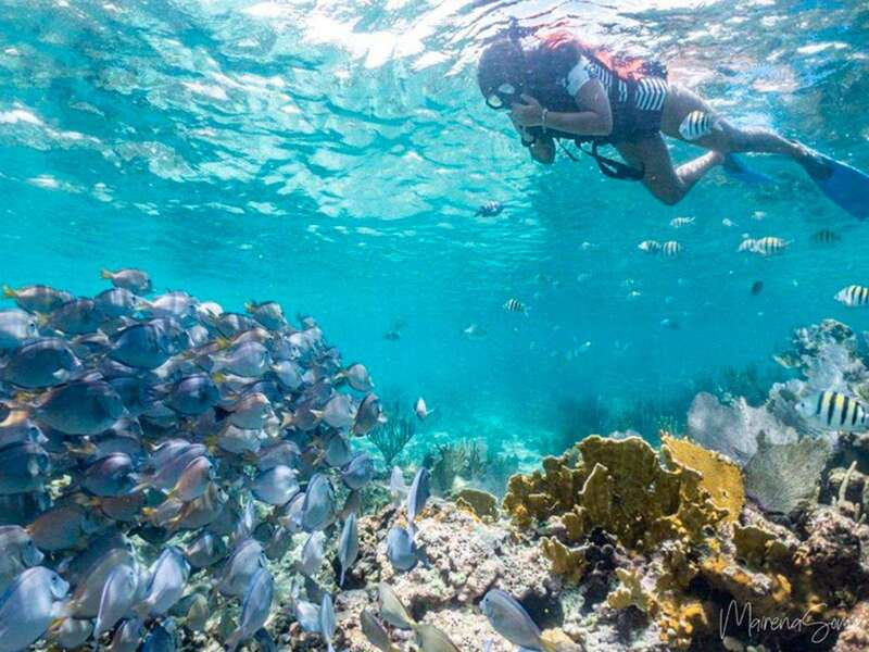 Cancun: Half Day Private Catamaran to Isla Mujeres - Sailing Toward Isla Mujeres