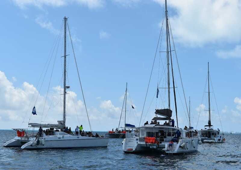 Cancun: Isla Mujeres Only Adults Catamaran, drinks & snorkel - The ride back to Cancun