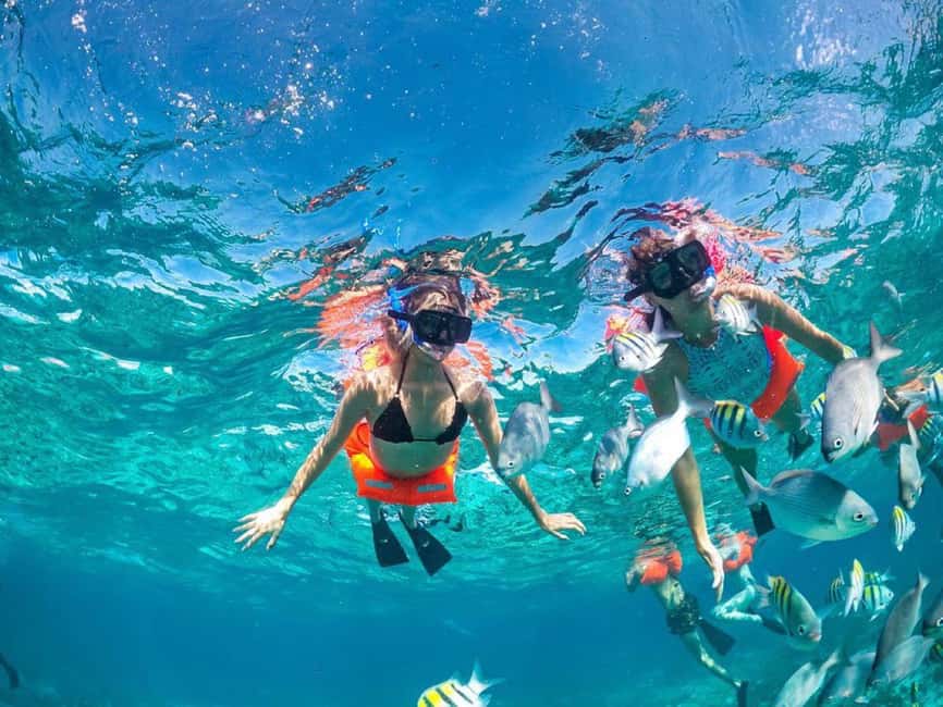 Cancun: Premium Catamaran with Transportation & Dock fee - Lunch at IXI Restaurant