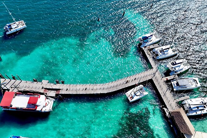 Cancun Private Catamaran Cruise– Open Bar & Snorkeling Experience - Cancun’s Coastline from the Water