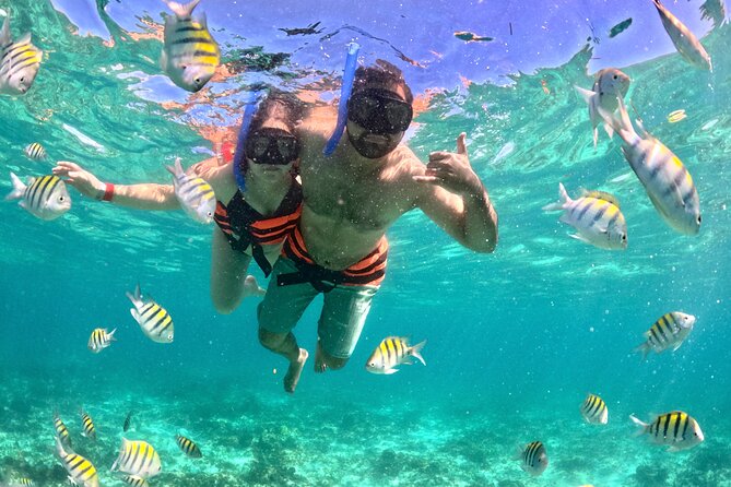 Cancun Private Catamaran Cruise– Open Bar & Snorkeling Experience - Snorkeling Near the Reef