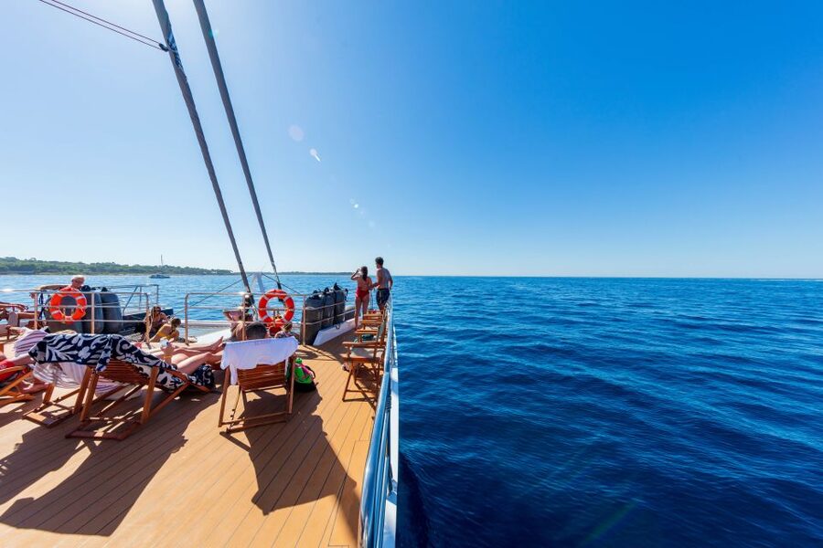 Cannes: Half-Day Catamaran Cruise with Lunch - Setting Sail From Cannes’ Old Port