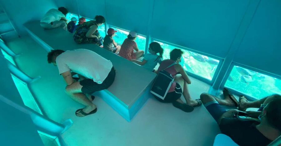 Cap Norfeu: Costa Brava Catamaran Trip with Underwater Views - Key points to know before you board