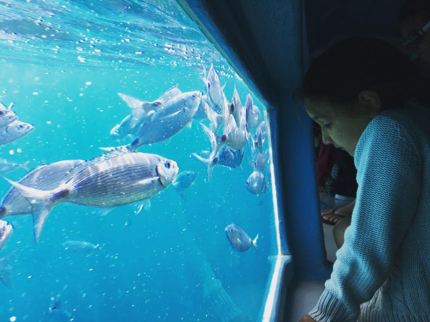 Cap Norfeu: Costa Brava Catamaran Trip with Underwater Views - What the $35 price gets you
