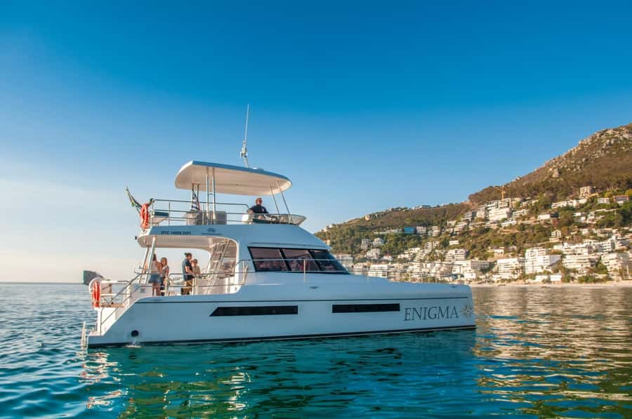 Cape Town: Scenic 1-Hour Coastal Catamaran Cruise - Key points at a glance
