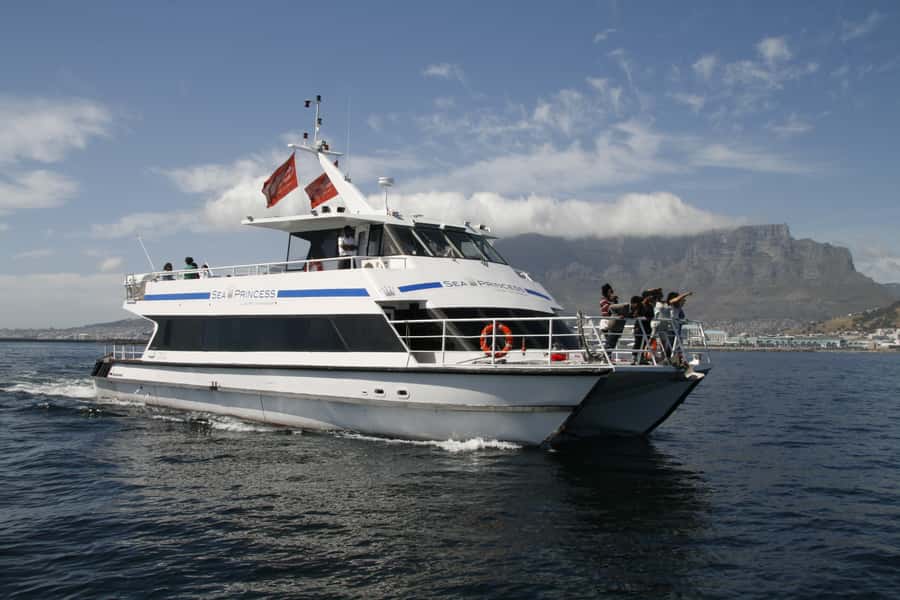 Cape Town: Scenic 1-Hour Coastal Catamaran Cruise - The first minutes: harbor views and an easy start