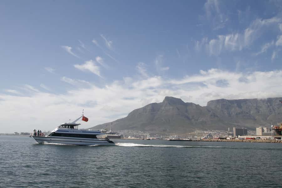 Cape Town: Scenic 1-Hour Coastal Catamaran Cruise - The ride back and what the sea feels like