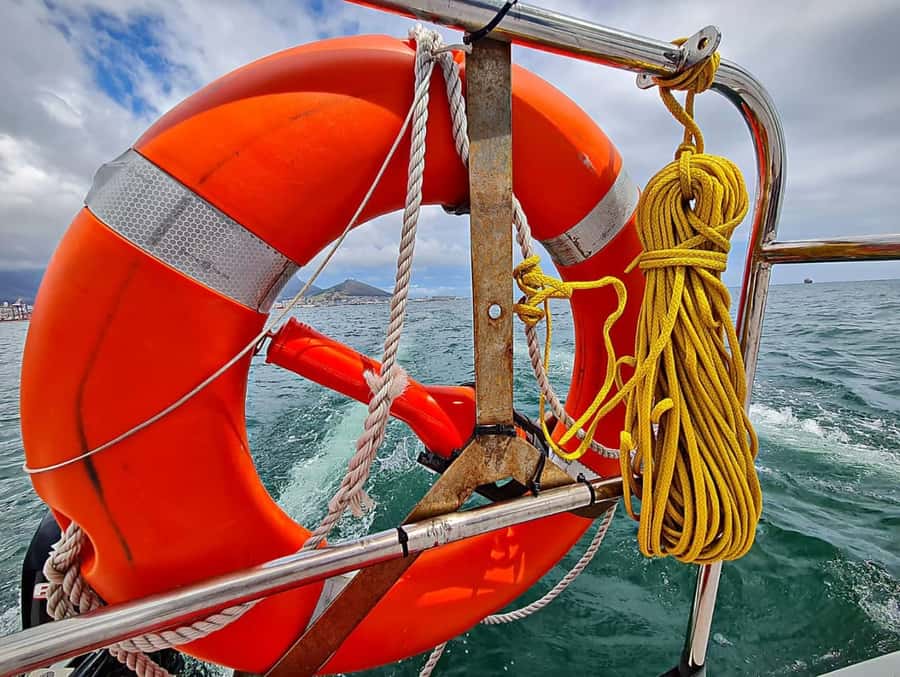 Cape Town: Table Bay Cruise by Catamaran - Sailing out from Wild Horizons Waterfront Adventures