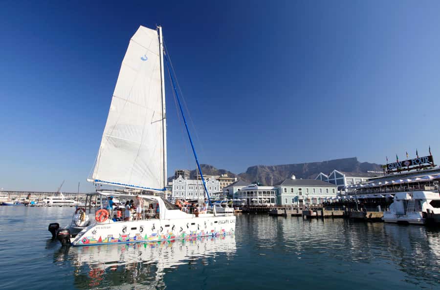 Cape Town: Table Bay Cruise by Catamaran - The first view of Table Mountain from the bay