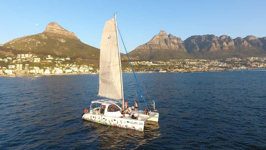 Cape Town: Table Bay Cruise by Catamaran - Choosing between the trampolines and covered seating