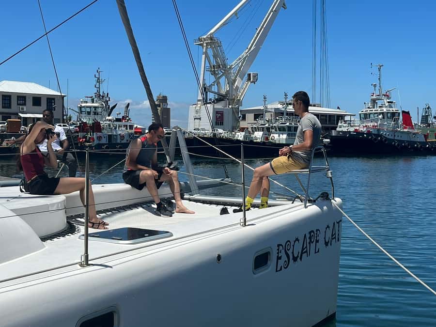 Cape Town: Table Bay Cruise by Catamaran - What the one-hour schedule gives you