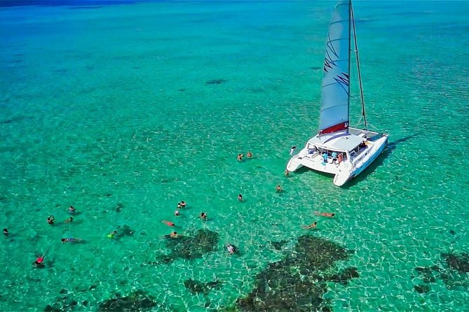Catamaran Adventure Full Day: Ile aux cerfs,GRSE Waterfall,Snorkeling &BBQ Lunch - Snorkeling: keep your expectations measured