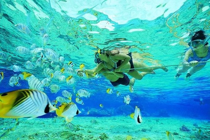 Catamaran Adventure Full Day: Ile aux cerfs,GRSE Waterfall,Snorkeling &BBQ Lunch - The return sail and hotel drop-off