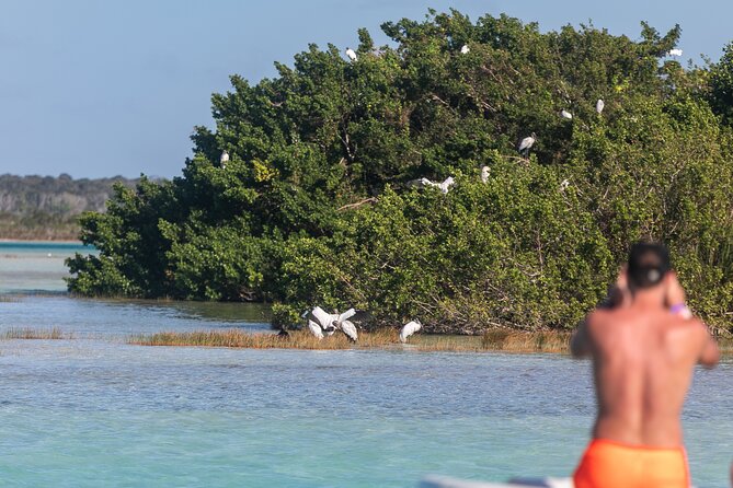 Catamaran Adventure: Sailing and Swimming in the Bacalar Lagoon - Is $55 a fair price?