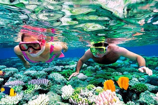 Catamaran adventure to Isla Mujeres with Snorkel,Buffet,Open Bar and Beach Club - Snorkeling near Isla Mujeres