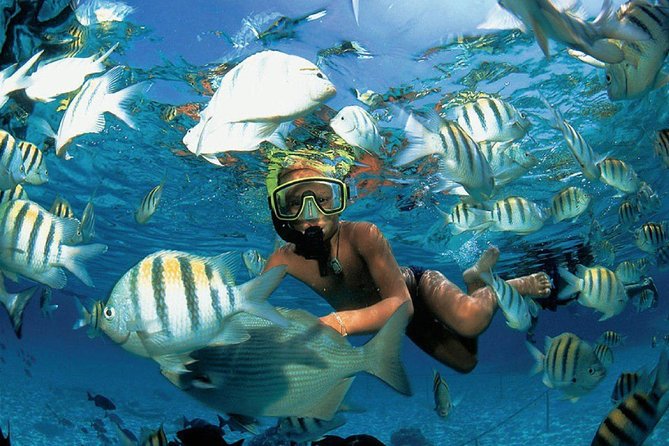 Catamaran adventure to Isla Mujeres with Snorkel,Buffet,Open Bar and Beach Club - The open bar and the party-boat atmosphere