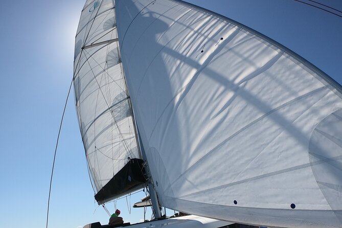 Catamaran Alghero, Catamaran Sailing Day Trip - Timing, meeting point, and practical planning