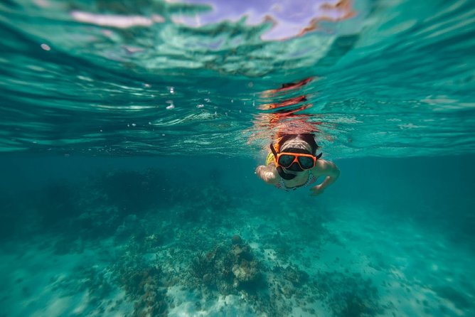 Catamaran and Snorkeling Cruise At Carlisle Bay - Four hours around the bay, with room to slow down