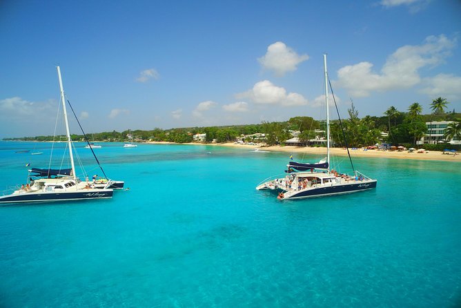 Catamaran and Snorkeling Cruise At Carlisle Bay - How the $145.95 price stacks up