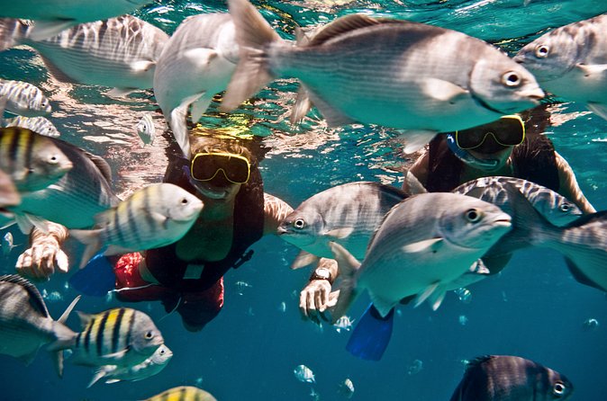 Catamaran and Snorkeling Cruise At Carlisle Bay - What to bring for the boat and beach