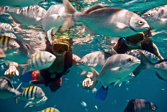 Catamaran and Snorkeling Cruise At Carlisle Bay - Who will enjoy this Barbados boat trip most