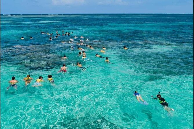 Catamaran and Snorkeling Party with Drink Included in Punta Cana - Snorkeling over Punta Cana’s reef