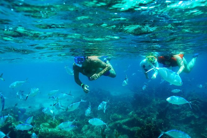 Catamaran Booze Cruise And Snorkeling Punta Cana - Adults Only - Key points to know before booking