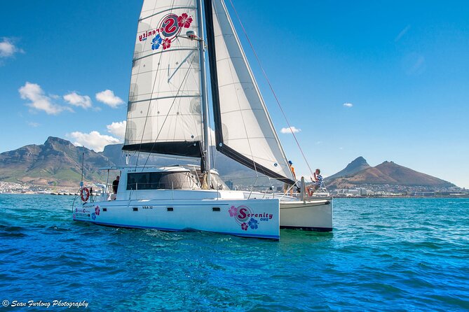 Catamaran Cruise and Sushi Experience in Cape Town - Setting off from the V&A Waterfront