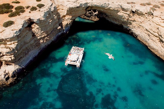 Catamaran Cruise: Caves and Coastline to Benagil - Benagil is the headline, but the coast makes the trip