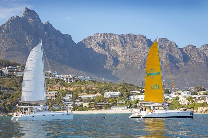 Catamaran Cruise in Cape Town - Key points to know before you book