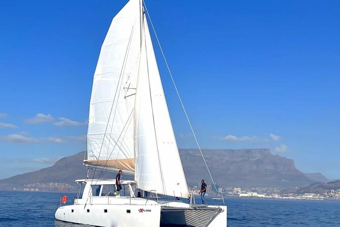Catamaran Cruise in Cape Town - Finding the boat at the V&A Waterfront