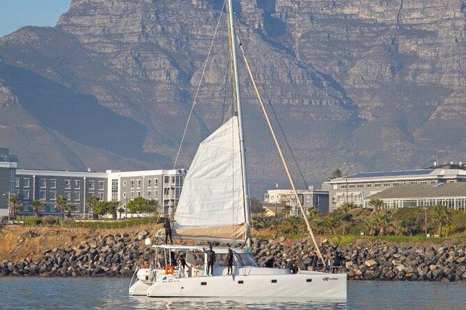 Catamaran Cruise in Cape Town - Is $23.92 a good price for one hour?