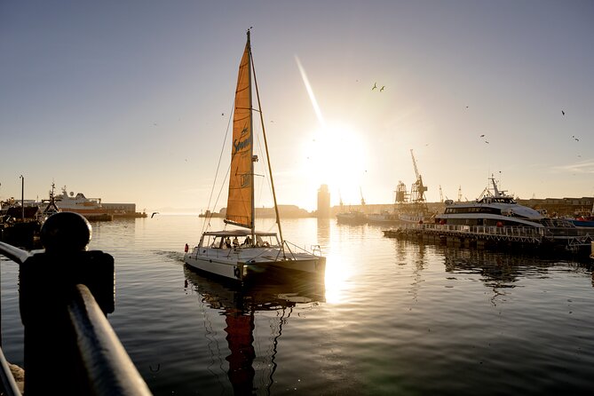 Catamaran Cruise in Cape Town - Who will enjoy this cruise most?